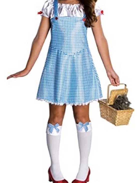 Rubie's Dresses & Skirts - Dorothy From The Wizard Of Oz Halloween Costume Teen Size Medium Women’s Small